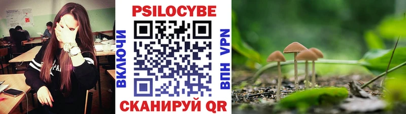 Псилоцибиновые грибы Magic Shrooms  Сураж 